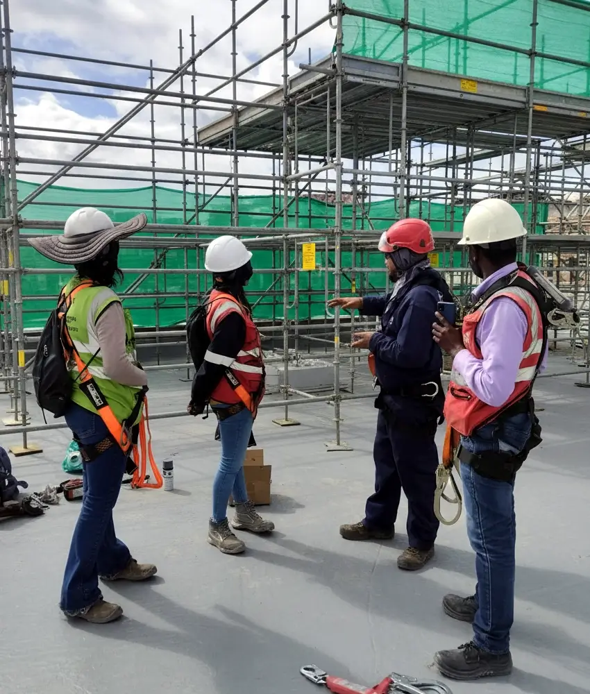 Inspección de Andamios