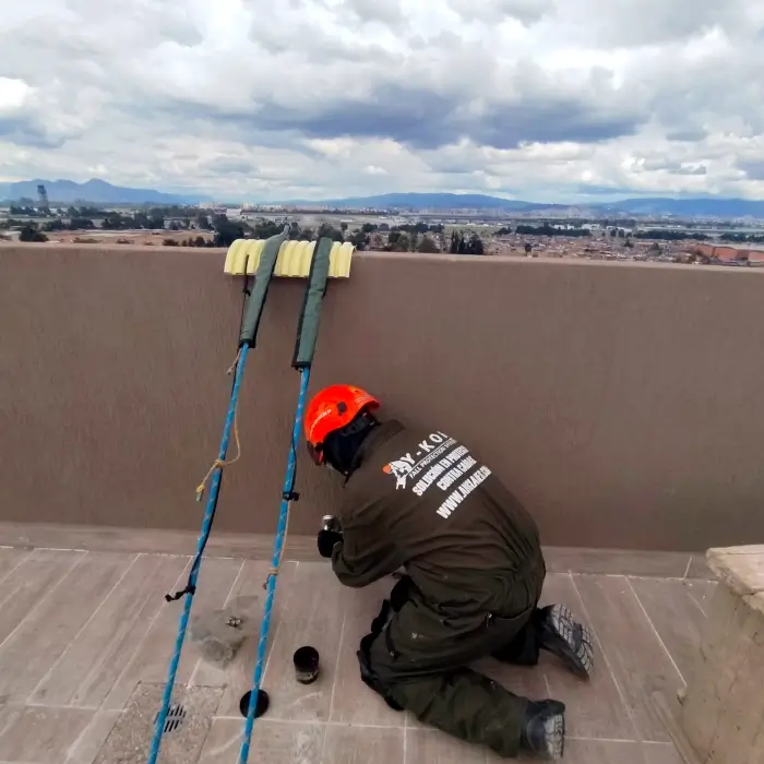 Líneas de vida verticales